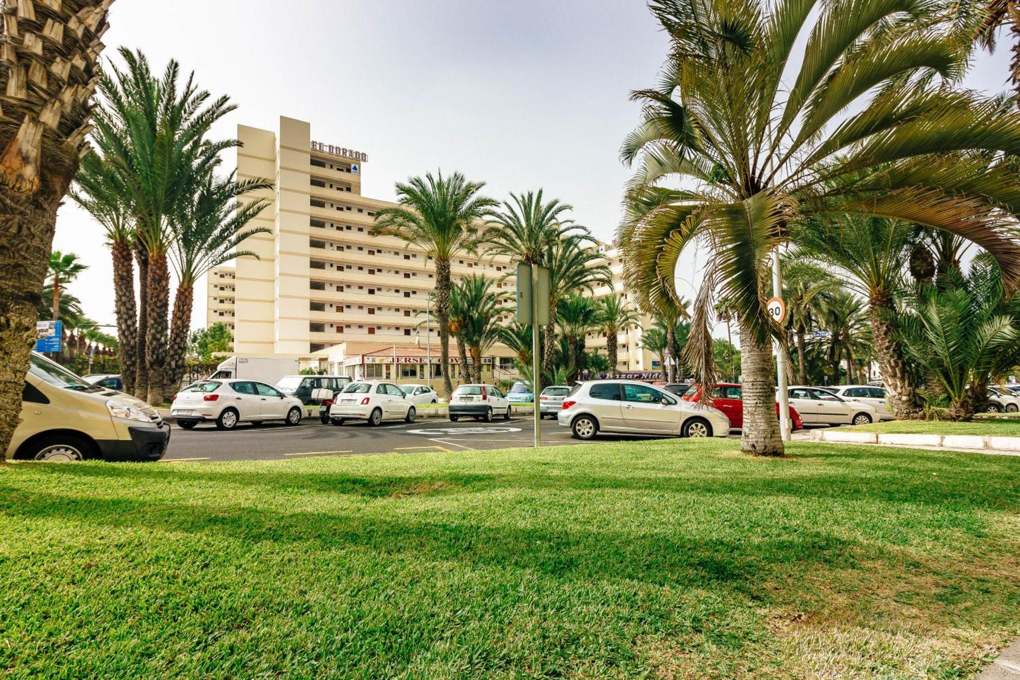 1Bdr El Dorado Ocean View Las Americas ปลายาเดลาสอเมริกาส ภายนอก รูปภาพ