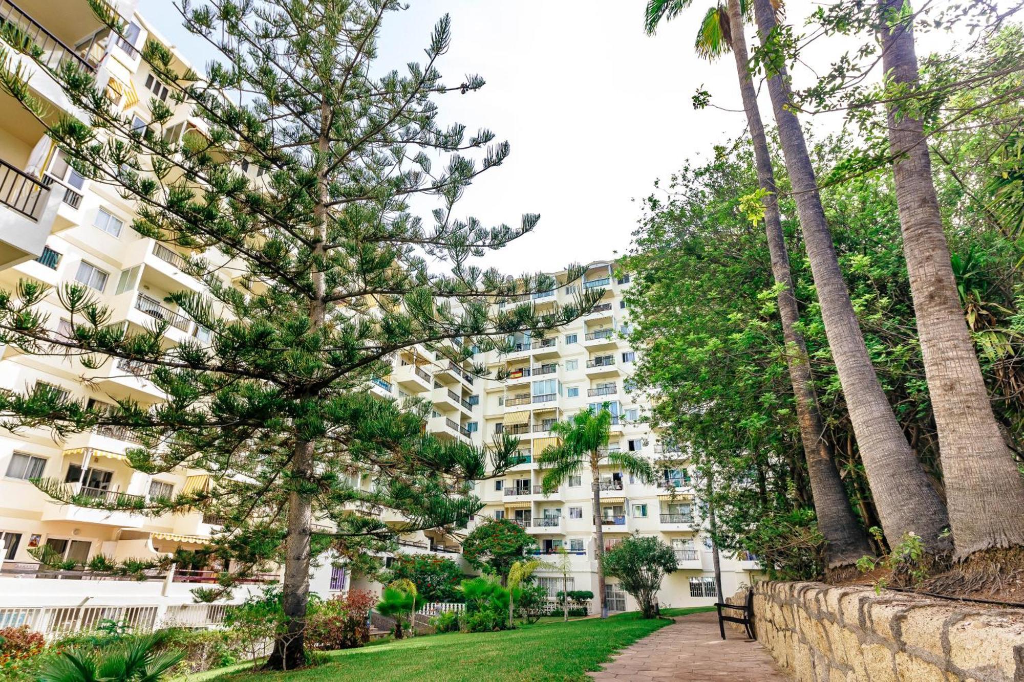 1Bdr El Dorado Ocean View Las Americas ปลายาเดลาสอเมริกาส ภายนอก รูปภาพ